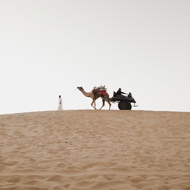 Thar Desert